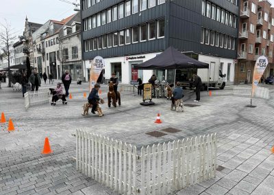 Zoo race kørende tøjdyr