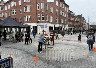 Event i gådagen i Esbjerg. Zoorace - kør på store tøjdyr